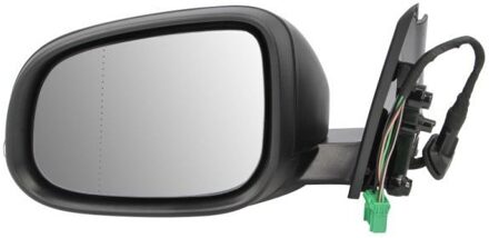 Volvo Buitenspiegel 5402241839310P