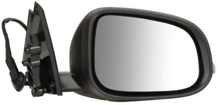 Volvo Buitenspiegel 5402241839311P