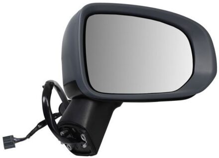 Volvo Buitenspiegel 5402242025311P