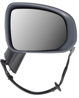 Volvo Buitenspiegel 5402242025313P