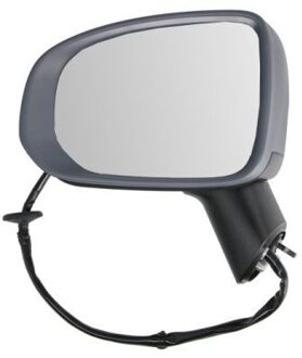 Volvo Buitenspiegel 5402242025314P