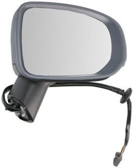 Volvo Buitenspiegel 5402242025315P