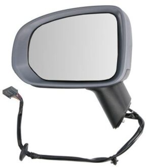 Volvo Buitenspiegel 5402242025316P