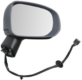 Volvo Buitenspiegel 5402242025317P