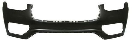 Volvo Bumper 5510009061900P