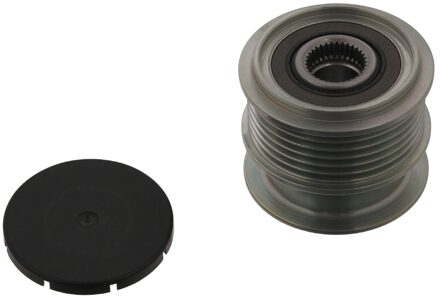 Volvo Dynamovrijloop