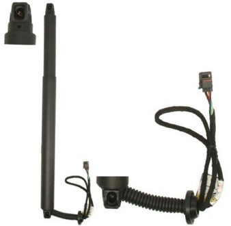 Volvo Elektrische Gasveer, achterklep MGS4075MT