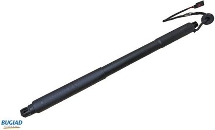 Volvo Gasveer, kofferruimte BRD50716