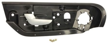 Volvo Handgreep, interieur 601024016401P