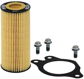 Volvo Hydraulische filter, automatische transmissie E28HD174