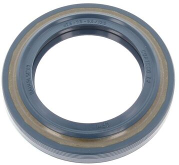 Volvo Keerring, wielnaaf 12012008B