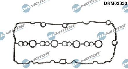 Volvo Klepdekselpakking DRM02830