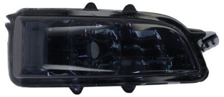 Volvo Knipperlicht 540305211862S