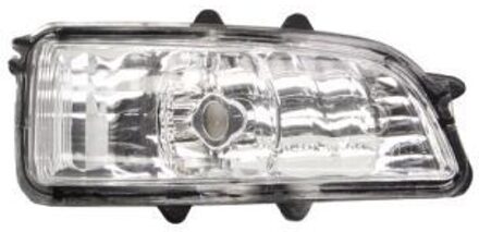 Volvo Knipperlicht 540324022106P