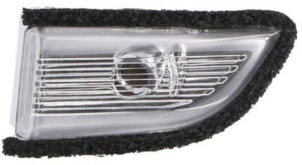 Volvo Knipperlicht 5403241533105P