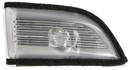 Volvo Knipperlicht 5403241533106P