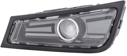 Volvo Mistlamp 1NL010477131