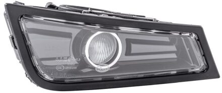 Volvo Mistlamp 1NL010477141