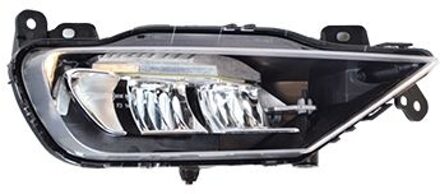 Volvo Mistlamp 5914998