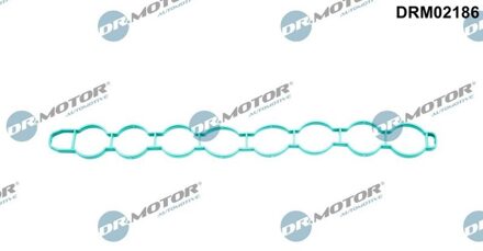 Volvo Pakking, inlaatspruitstuk DRM02186