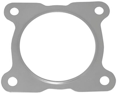 Volvo Pakking, uitlaatpijp 80444