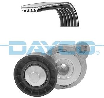 Volvo Poly V-riem set KPV279