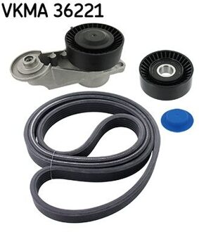 Volvo Poly V-riem set VKMA36221