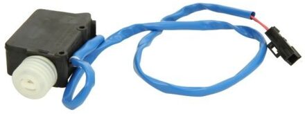 Volvo Regelklep, centrale vergrendeling 601024002436P