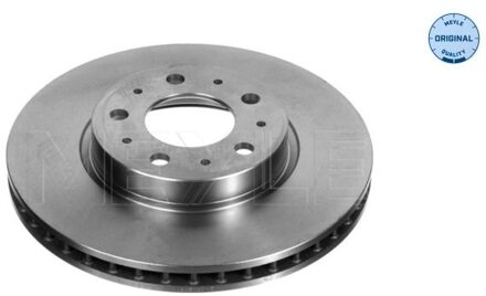 Volvo Remschijf 5155215012