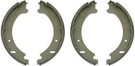 Volvo Remschoenset 15067