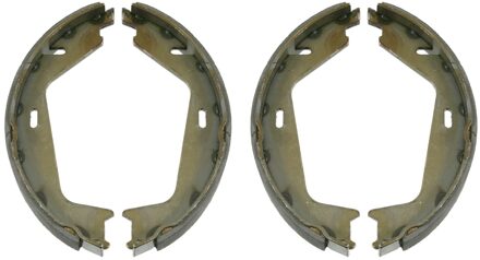 Volvo Remschoenset 22154