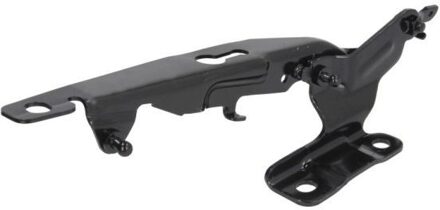 Volvo Scharnier, motorkap 6802009057451P