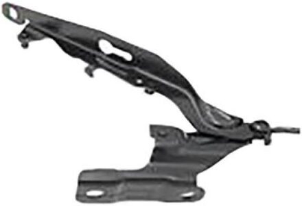 Volvo Scharnier, motorkap 7675018