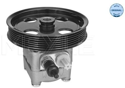 Volvo Servo pomp 5146310012