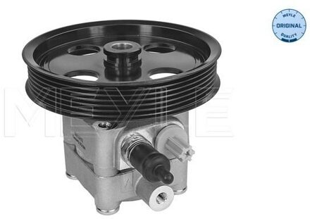 Volvo Servo pomp 5146310015