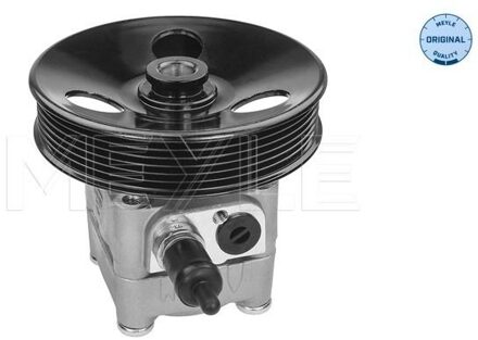 Volvo Servo pomp 5146310020