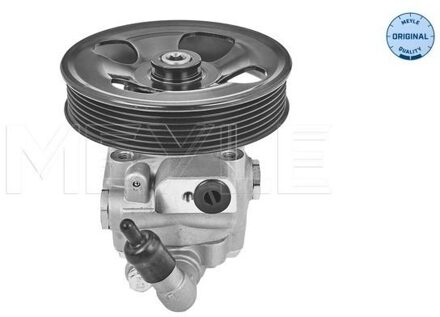 Volvo Servo pomp 5146310022