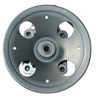 Volvo Servo pomp 54066