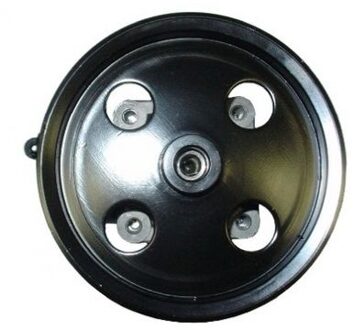 Volvo Servo pomp 54071