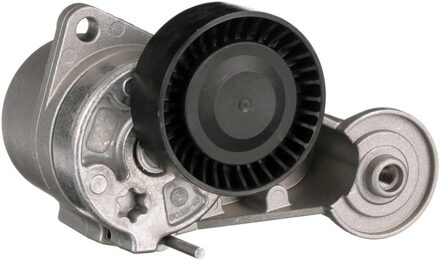 Volvo Spanrol, Poly V-riem T39025