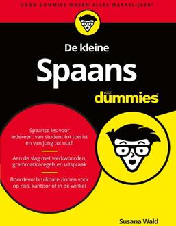 Voor Dummies De kleine Spaans voor Dummies, 2e editie - Susana Wald - ebook