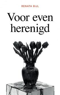 Voor even herenigd - Boek Renata Bijl (9402163492)