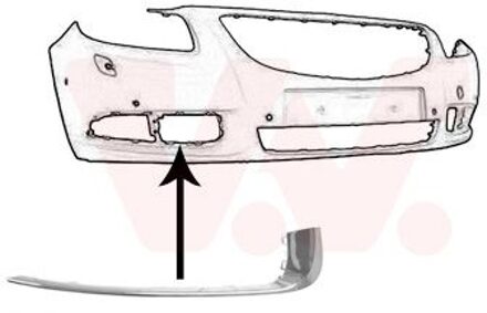 Voorbumpersierlijst R. 3850582