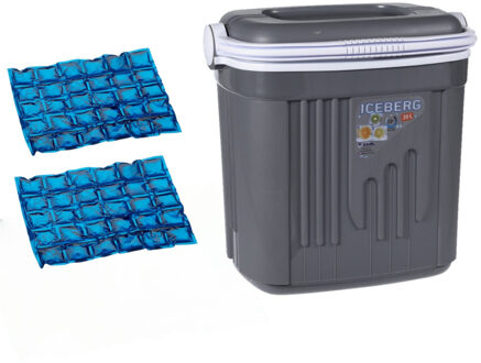 Voordelige flexibele grijze koelbox 20 liter met 2x flexibele koelelementen