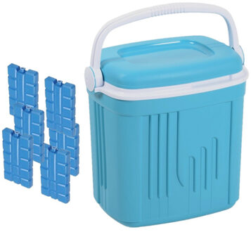 Voordelige normale blauwe koelbox 20 liter met 6x normale koelelementen
