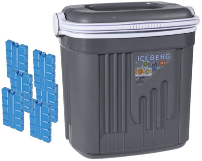 Voordelige normale grijze koelbox 20 liter met 6x normale koelelementen