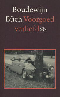 Voorgoed verliefd - eBook Boudewijn Büch (9029581093)