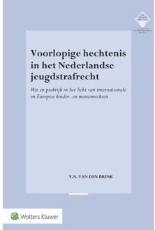 Voorlopige hechtenis in het Nederlandse jeugdstrafrecht - Boek Yannick Nelson van den Brink (901314683X)