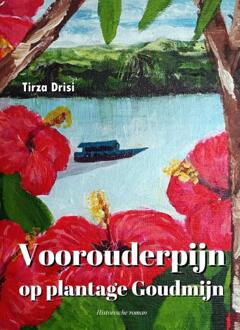 Voorouderpijn op plantage Goudmijn -  Tirza Drisi (ISBN: 9789083369198)