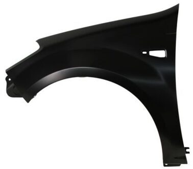 Voorspatbord Links 6504041302311P